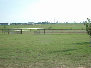 ARENA