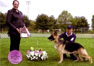 Going 1st Junior Mid-Atlantic Futurity bitch 2017 