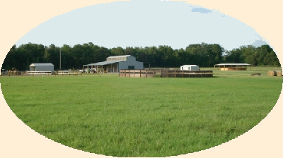 Appaloosa Acres barn