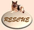 OUR RESCUE PAGES