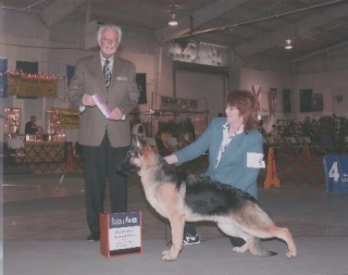 Trial By Fire aka Zen at 7 months
