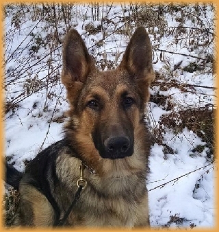 Edgar in the Snow at 6 Months