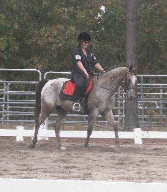 Moonshines first Show