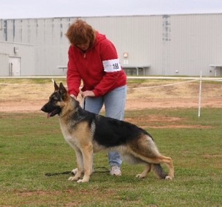 Zen at 9 months